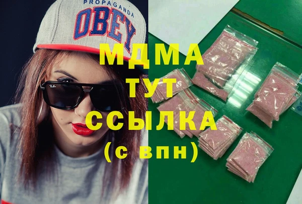 гидра Вяземский