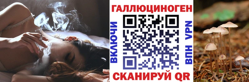 Псилоцибиновые грибы Psilocybine cubensis купить Сосенский